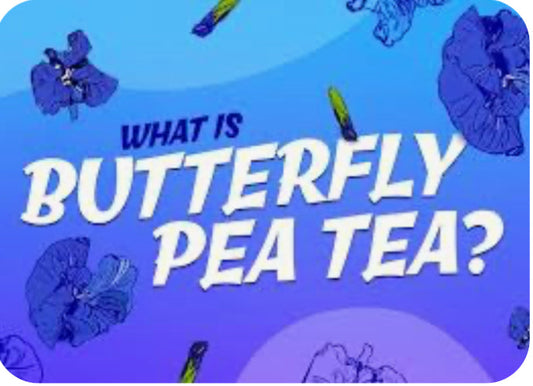 Blue Butterfly Pea: Nature’s Vivid Blue Elixir
