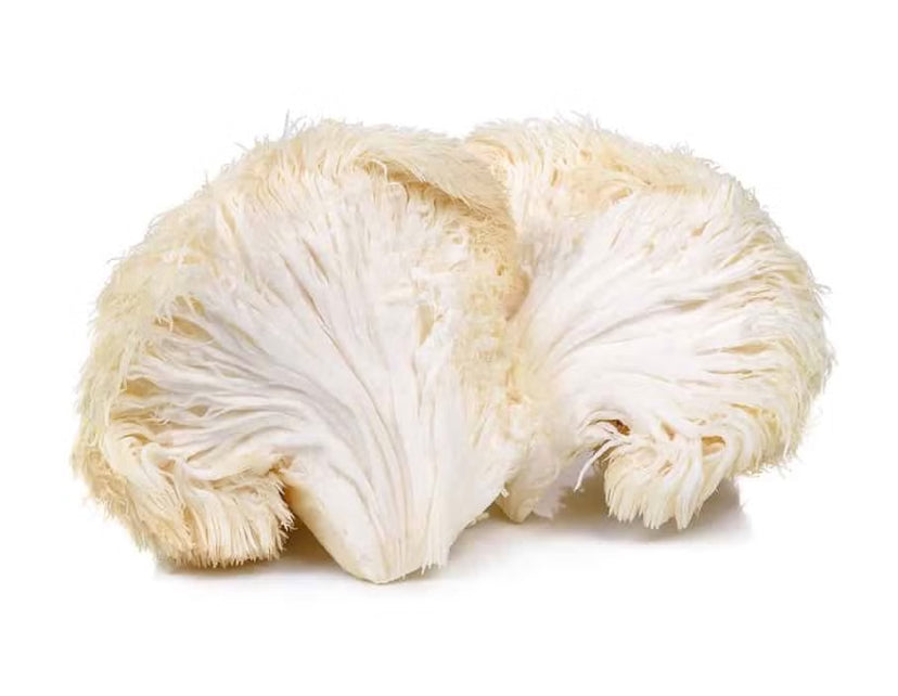 Lions Mane Mushroom Capsules – 60 Caps- 400mg Each
